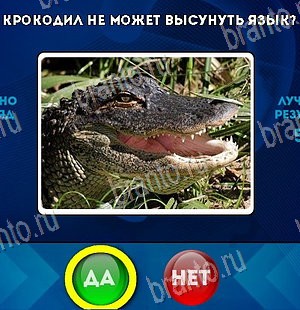 Да или Нет игра подсказки Уровень 5714