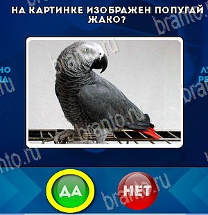 Игра Да или Нет ответы Уровень 5717