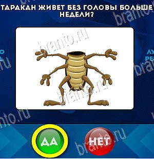 игра Да или Нет помощь Уровень 5719
