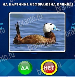 Да или Нет игра подсказки Уровень 5724