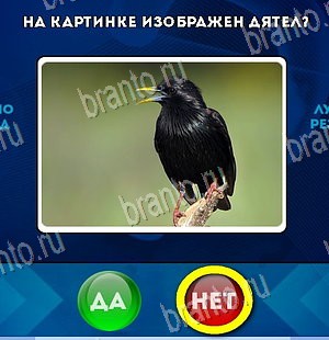 Да или Нет игра помощь Уровень 5725