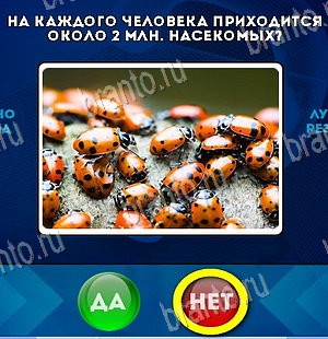 Да или Нет решения Уровень 5742
