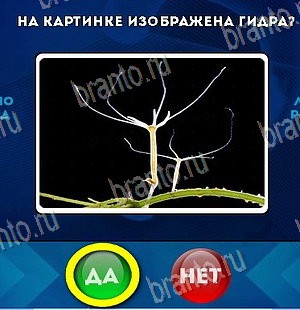 При опросе жителей возможны ответы да нет не знаю нарисуйте дерево вариантов