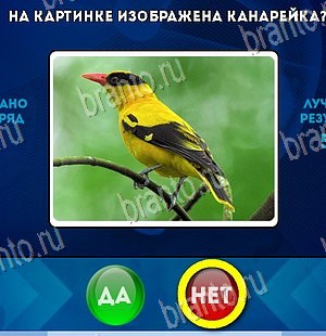 Да или Нет ответы в картинках Уровень 5746