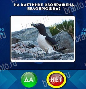 игра Да или Нет ответ на Уровень 5750