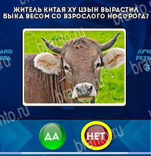решебник на игру Да или Нет Уровень 5751