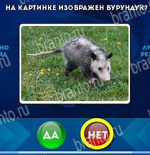 Да или Нет игра подсказки Уровень 5754