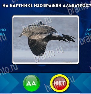 ответы к игре Да или Нет Уровень 5765