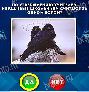 Да или Нет игра ответы в одноклассниках Уровень 5767