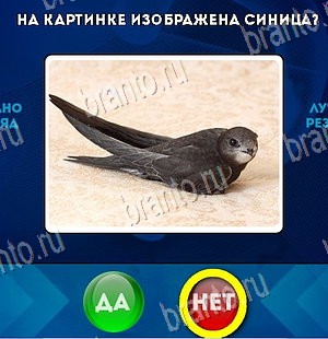 решебник на игру Да или Нет Уровень 5771