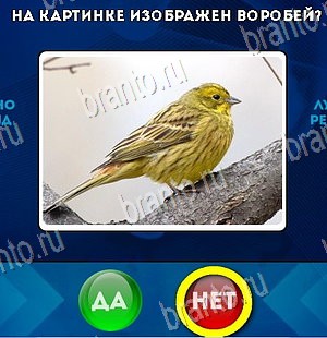 Да или Нет игра ответы Уровень 5773