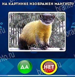 Игра Да или Нет ответы Уровень 5777