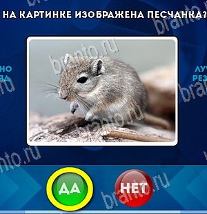 игра Да или Нет помощь Уровень 5779