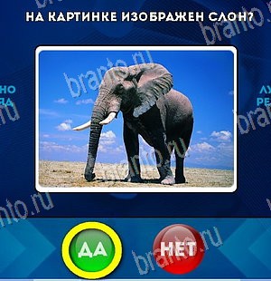 Да или Нет решения Уровень 5782