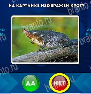 Да или Нет игра помощь Уровень 5785