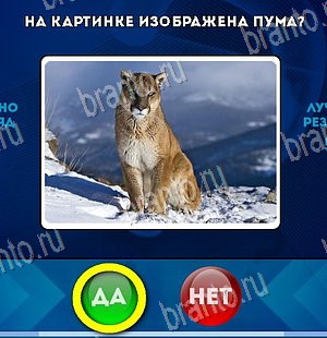 Игра Да или Нет ответы Уровень 5787