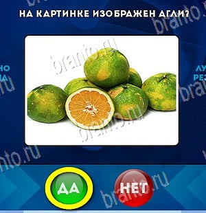 игра Да или Нет ответ на Уровень 5790