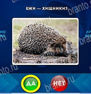 ответы на игру Да или Нет в одноклассниках Уровень 5791