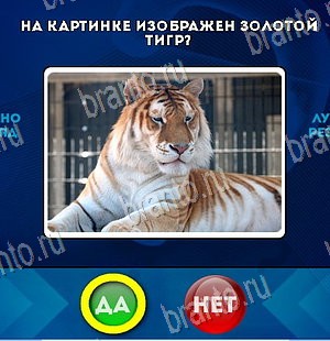 ответы на игру в одноклассниках Да или Нет Уровень 5796