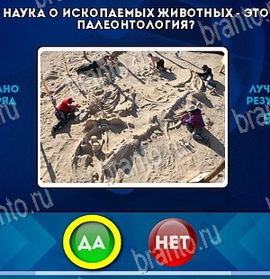 Да или Нет подсказки в контакте Уровень 5799