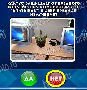 Да или Нет ответы в картинках Уровень 5806
