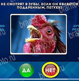 решебник на игру Да или Нет Уровень 5811