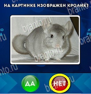 Подсказки на игру Да или Нет Уровень 5822