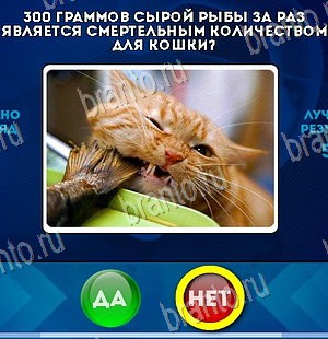 ответы к игре Да или Нет Уровень 5825