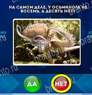 игра Да или Нет ответ на Уровень 5830