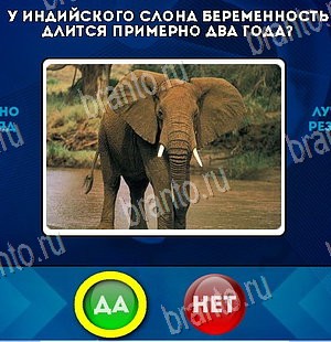 игра Да или Нет ответ на Уровень 5840