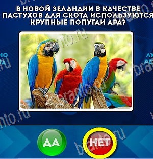 Да или Нет ответы в картинках Уровень 5846