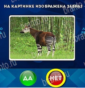 Игра Да или Нет ответы Уровень 5847