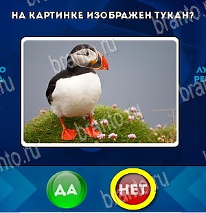игра Да или Нет помощь Уровень 5849