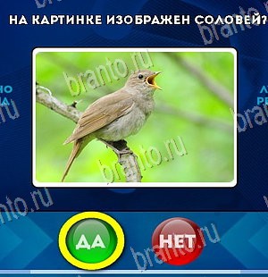 ответы к игре Да или Нет Уровень 5855