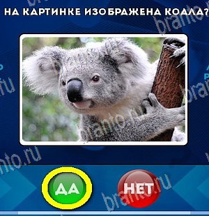 Да или Нет ответы в картинках Уровень 5866
