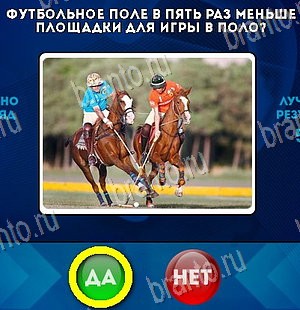 игра Да или Нет помощь Уровень 5869