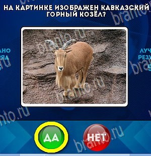 Игра Да или Нет ответы Уровень 5877