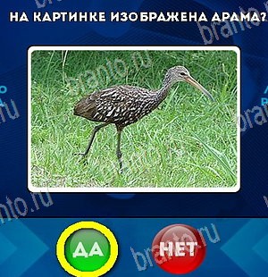 игра Да или Нет ответ на Уровень 5880