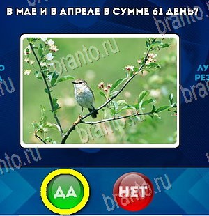 ответы к игре Да или Нет Уровень 5885