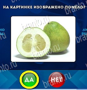 Да или Нет игра ответы Уровень 5893
