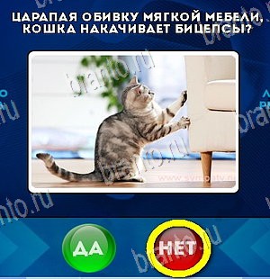 Игра Да или Нет подсказки Уровень 5898