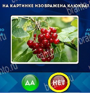 игра Да или Нет ответ на Уровень 5900
