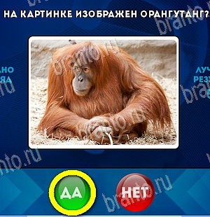 решебник на игру Да или Нет Уровень 5901