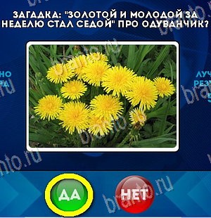 Да или Нет ответы в картинках Уровень 5906
