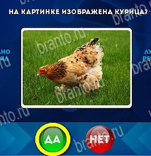 игра Да или Нет ответ на Уровень 5910