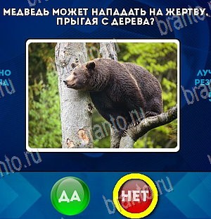 Да или Нет решения Уровень 5922