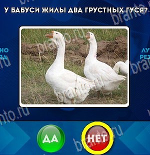 Да или Нет игра подсказки Уровень 5924