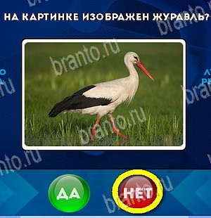 Игра Да или Нет подсказки Уровень 5928