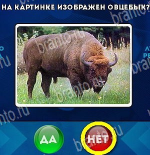 Игра Да или Нет подсказки Уровень 5938