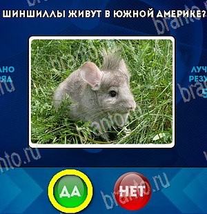 ответы к игре Да или Нет Уровень 5945